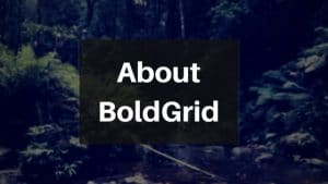What is BoldGrid